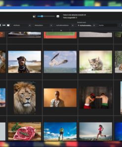 Alte Videos retten - Videolernkurs – Bild 45