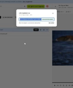 Alte Videos retten - Videolernkurs – Bild 50